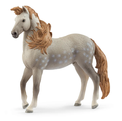 [66914895] SEMENTAL ANDALUZ