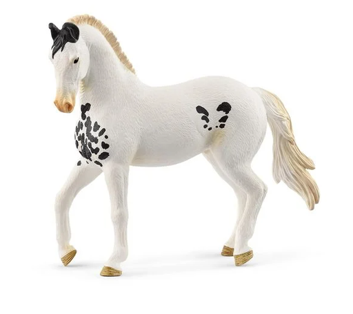 [66914898] SEMENTAL MARWAR