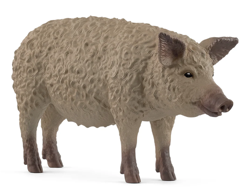 [66914892] CERDO LANUDO