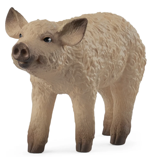 [66914893] CERDITO LANUDO