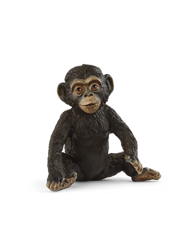 [66914884] CHIMPANCE CRIA