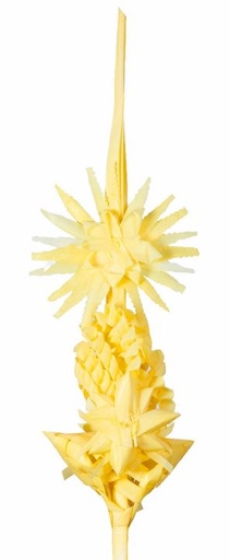 [71989818] PALMA BLANCA 2