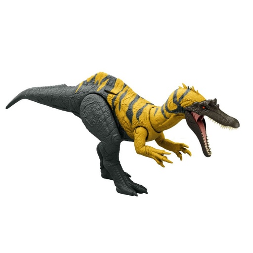 [24527299] J.W. CERATOSUCHOPS RUGIDO SALV.