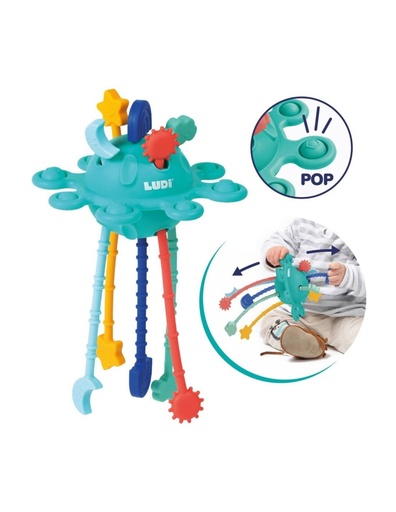 [36230131] ZIPTOY LUDI