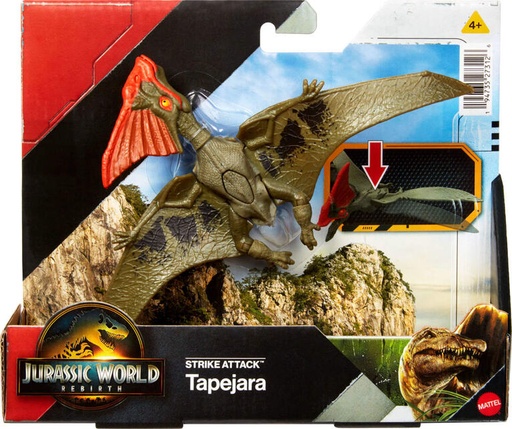 [24527312] J.W. TAPEJARA STRIKE ATTACK