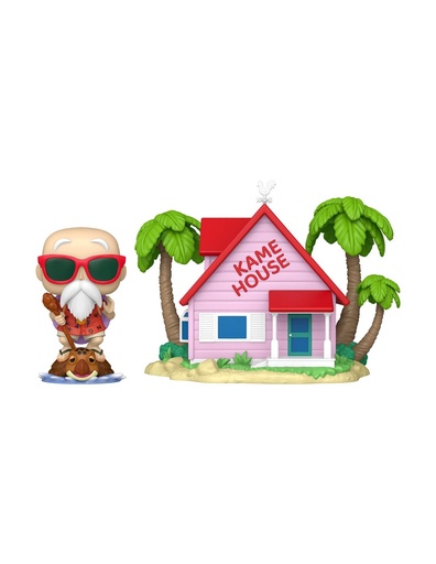 [54383715] POP MASTER ROSHI AT KAME HOUSE