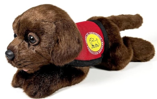 [56733248] PELUCHE LABRADOR CHOCOLATE 21