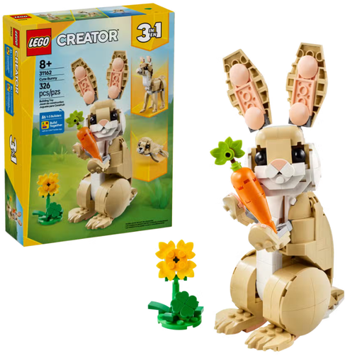 [22531162] LINDO CONEJITO