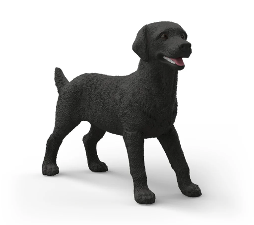 [66914923] LABRADOR RETRIEVER HEMBRA NEGRA