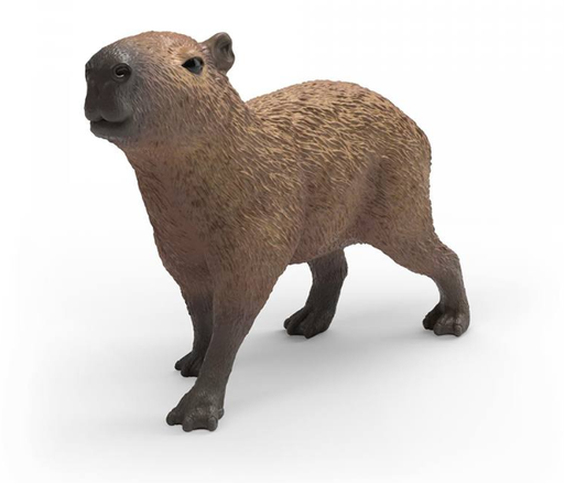 [66914934] CAPIBARA
