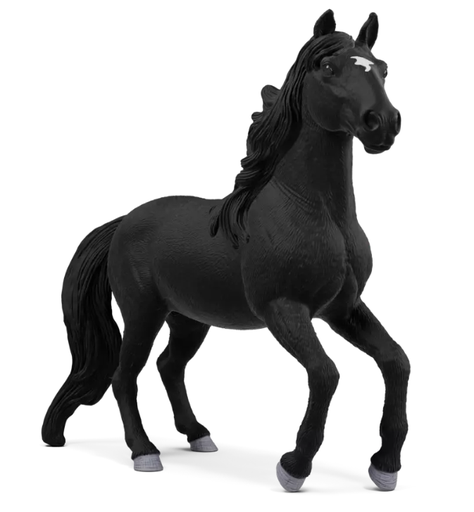 [66914918] CABALLO LUSITANO SEMENTAL