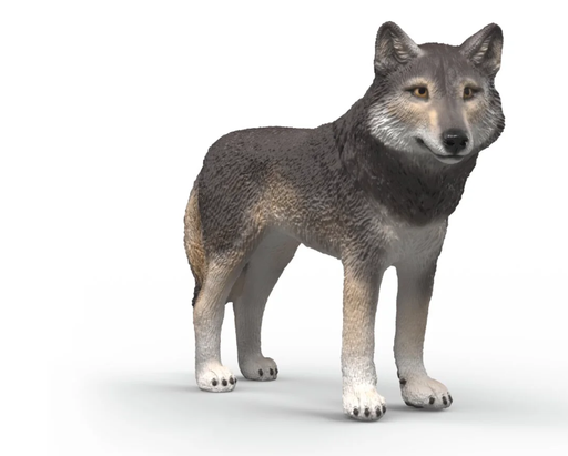 [66914991] LOBO AMERICANO