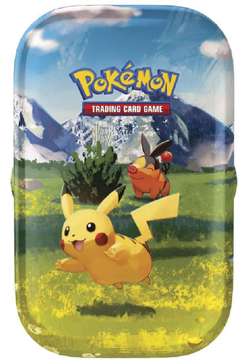 [02513273] POKEMON MINI LATA HEROES ASC.