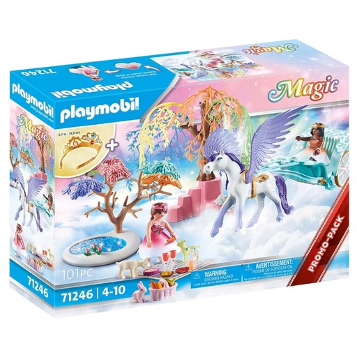 [30071246] PICNIC CON CARRUAJE PEGASO