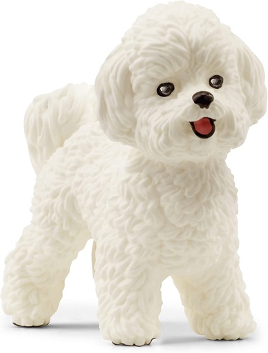 [66913963] BICHON FRISE