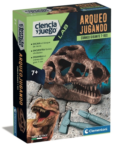 [06655545] ARQUEOJUGANDO CRANEO T-REX