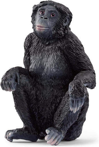 [66914875] BONOBO HEMBRA